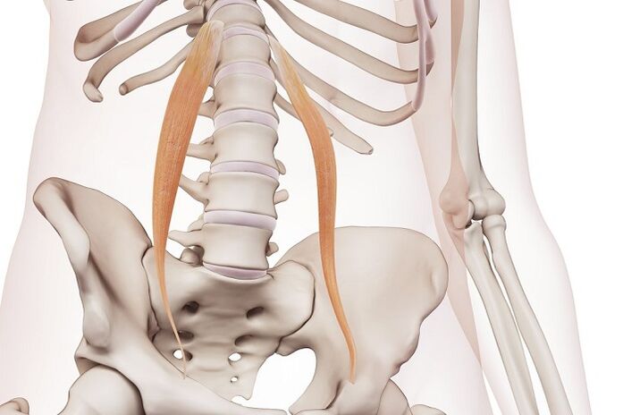 The vertebral petrol osteochondrosis in the lumbar region the essence of the disease